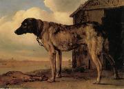 POTTER, Paulus Watchdog oil painting reproduction